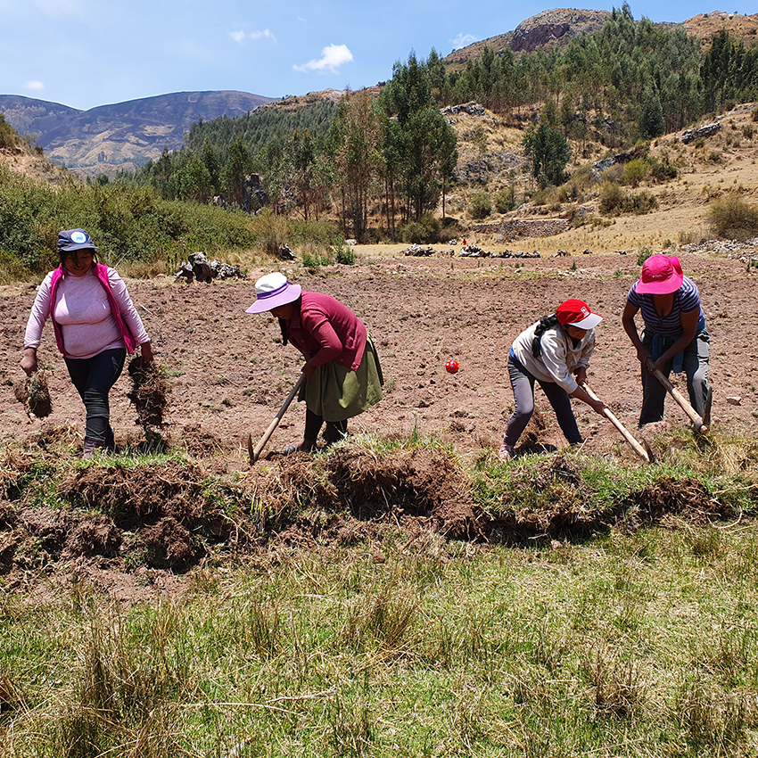 Perú: Fundación Cristo Vive – 2020