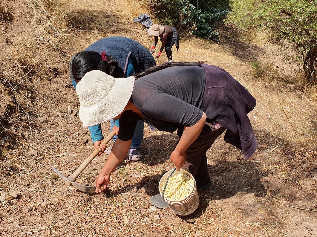 Perú: Fundación Cristo Vive – 2020