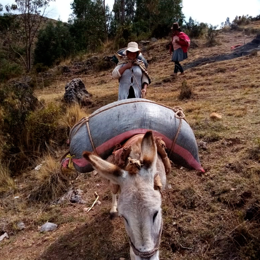 Perú: Fundación Cristo Vive – 2020